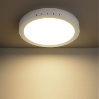 Универсальный накладной/встраиваемый потолочный светодиодный светильник DLR020 24W 4200K (Elektrostandard, Универсальный накладной/встраиваемый потолочный светодиодный светильник)