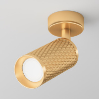 Потолочный светильник Ceiling Focus Design, 1xGU10 Матовое Золото (Maytoni Technical, C034CL-01G)