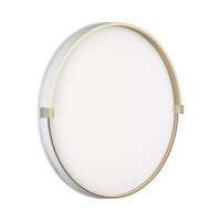 Настенно-потолочный Светильник Olidi White Pale, Led, Белый (сонекс, 7646/dln)